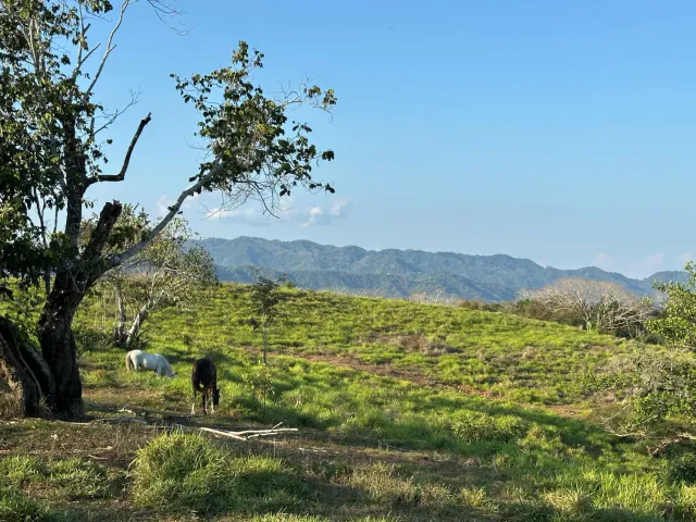 Exceptionnel terrain agricole de 32 hectares à vendre près de Santa Teresa, Costa Rica – 12,50 $/m²