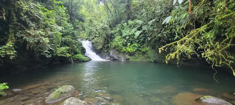 Finca Privada con Cascada en Guapiles, Costa Rica - Santuario Natural - 5