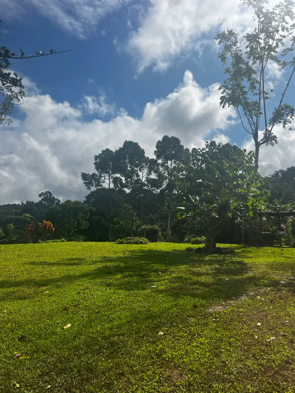 Espectacular Finca Ecológica de Montaña en Bijagual - 5