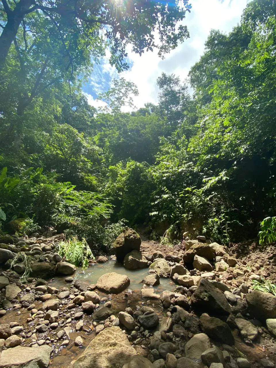 Terreno Exclusivo con Río y Bosque en Garabito: Su Santuario Privado en Costa Rica - 5