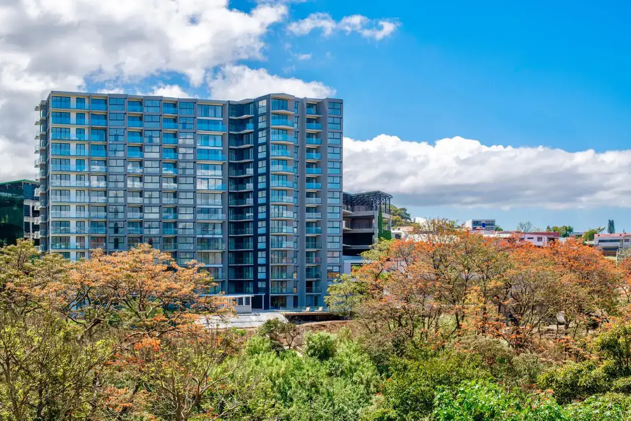 New Modern 1-Bedroom Apartment in San José | Luxury amenities. - main