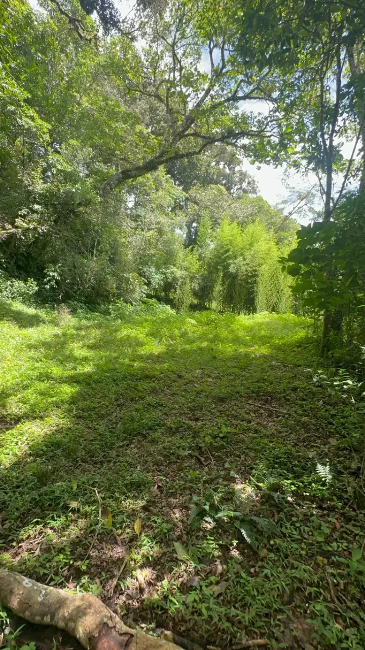 Land for Sale in Tarbaca a Natural and Tranquil Environment - 4