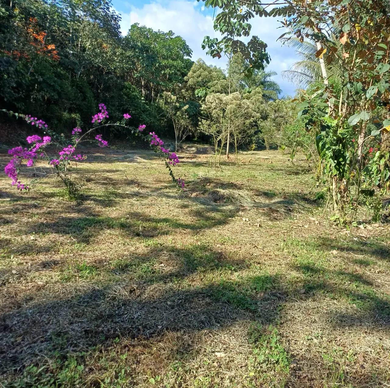 Investment Opportunity in Pérez Zeledón - 2