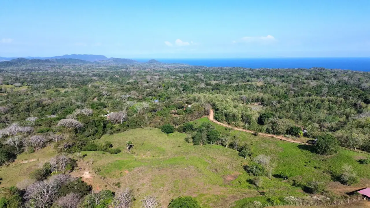 Exceptional 32-Hectare Finca for Sale Near Santa Teresa, Costa Rica – $12.50/m² - 4