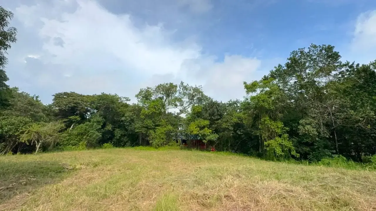 6,179 m² mixed-use land in Delicias, minutes from Montezuma and Santa Teresa - 4