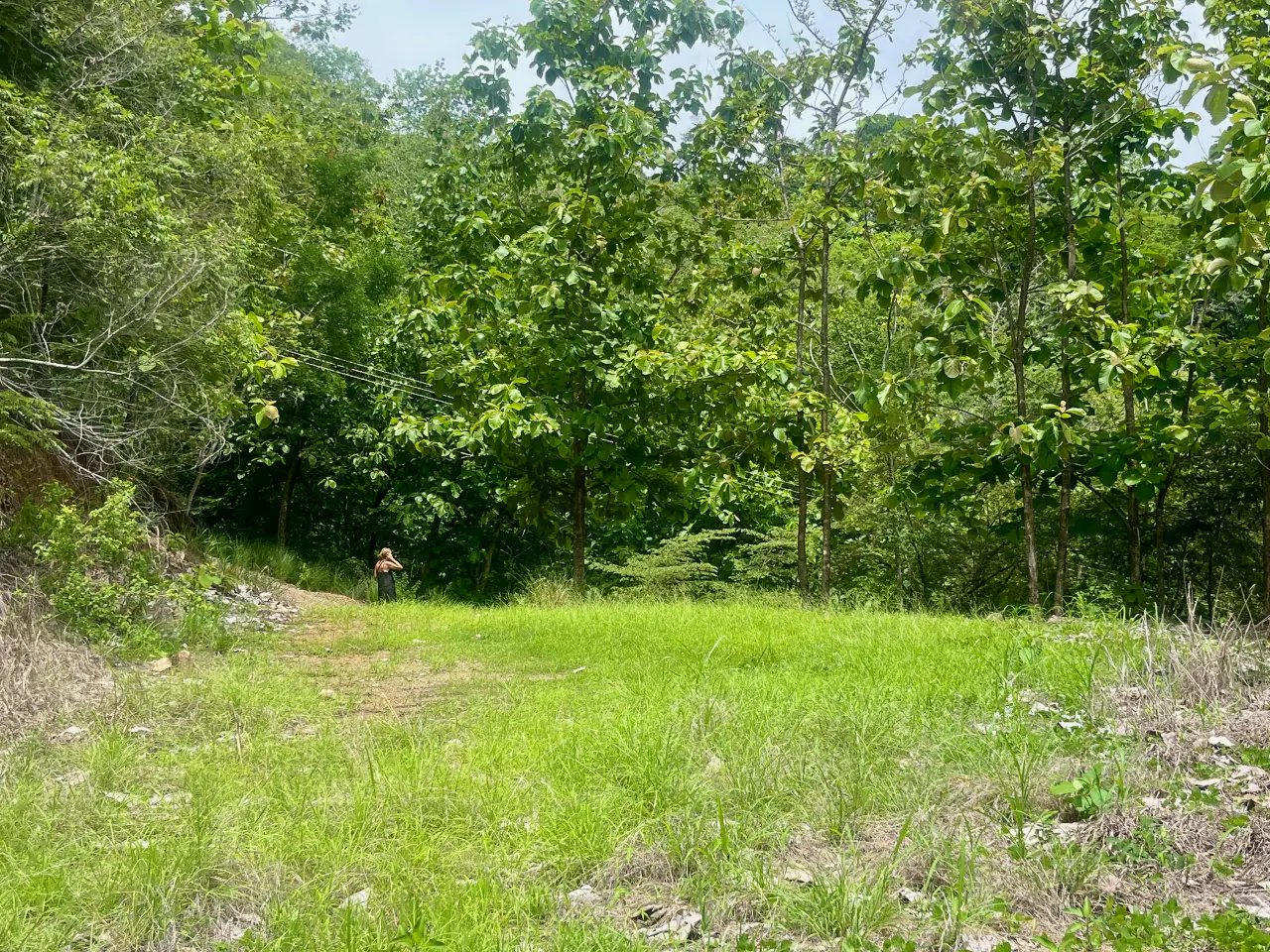 Increíble Lote con Vista al Mar en Tambor - Listo para Construir - 3
