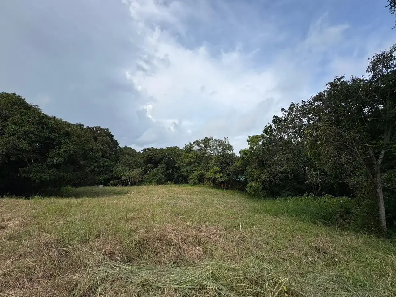 6,179 m² mixed-use land in Delicias, minutes from Montezuma and Santa Teresa - 1