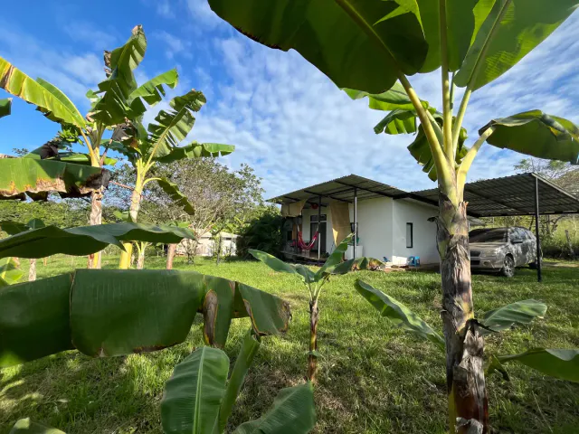 Two  New Homes in Delicias Near Santa Teresa, Montezuma and Cabuya 