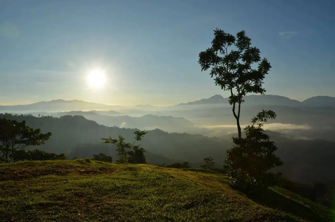 For Sale: Spectacular Lots in Gated Community in Puriscal - 1