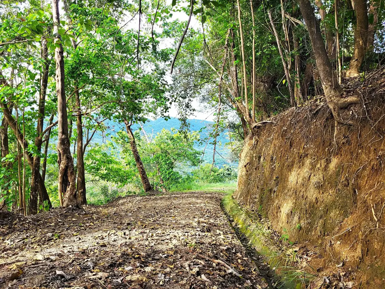Lote con vista al mar en la cima de la montaña en una comunidad privada y cerrada con vista a Tambor - 2