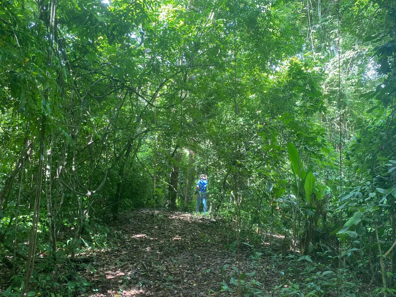 Terreno Exclusivo con Río y Bosque en Garabito: Su Santuario Privado en Costa Rica - 4
