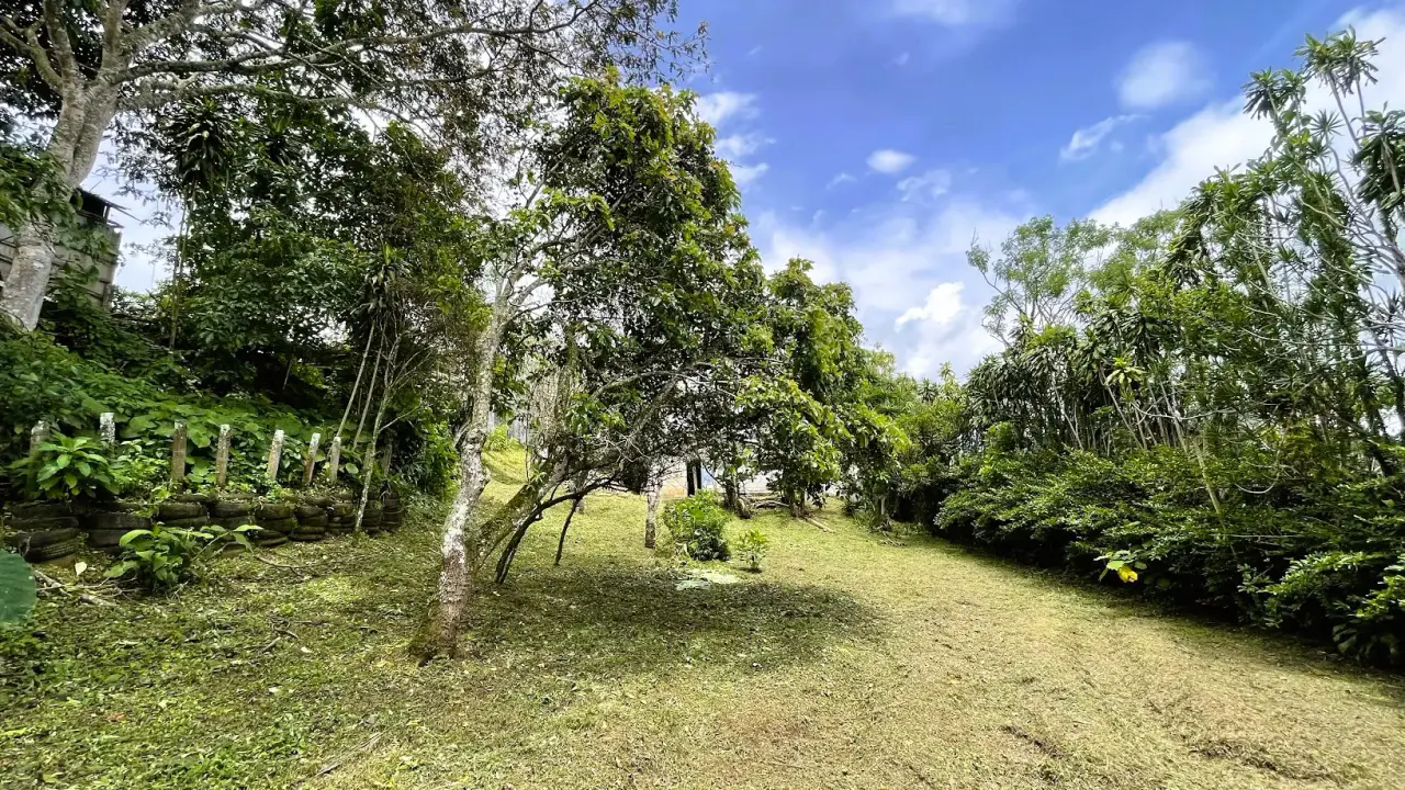 LOT WITH HOUSE FOR SALE IN SAN RAMÓN, ALAJUELA - 5