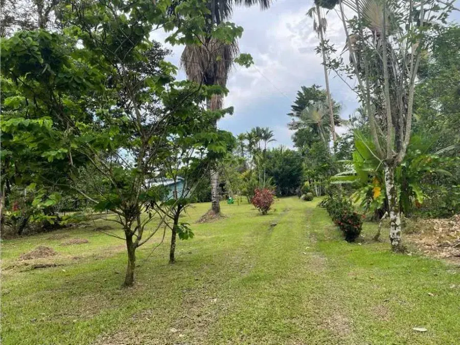 Paraíso caribeño, Guácimo, Limón - 4