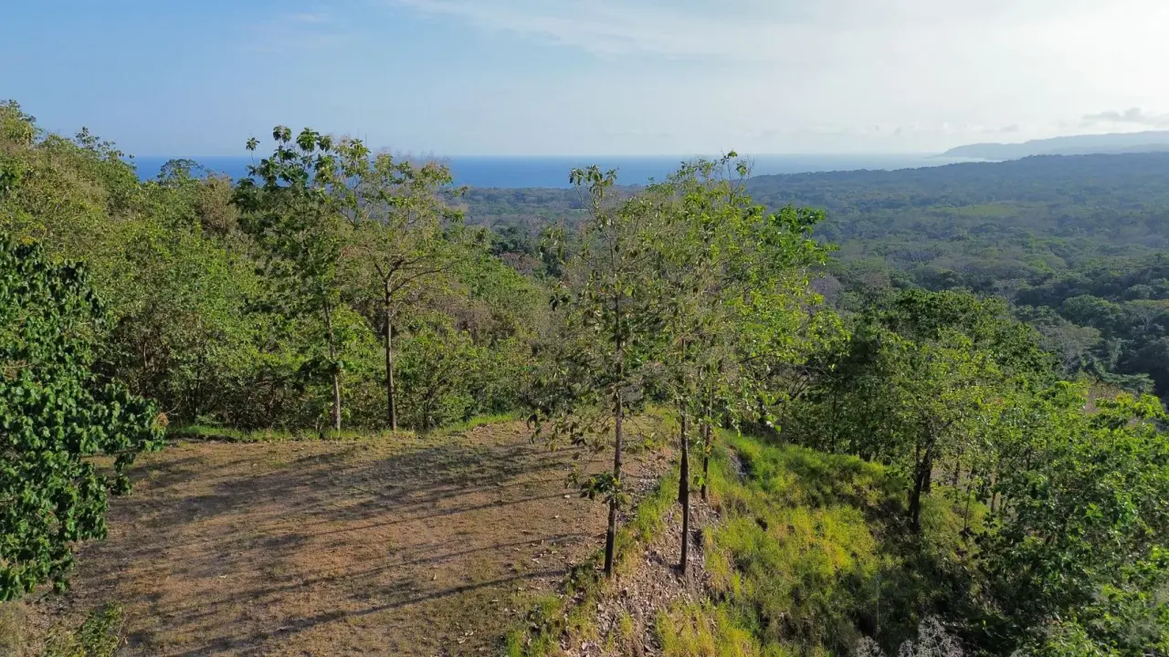 Beautiful Oceanview lot in community in Tambor - 1