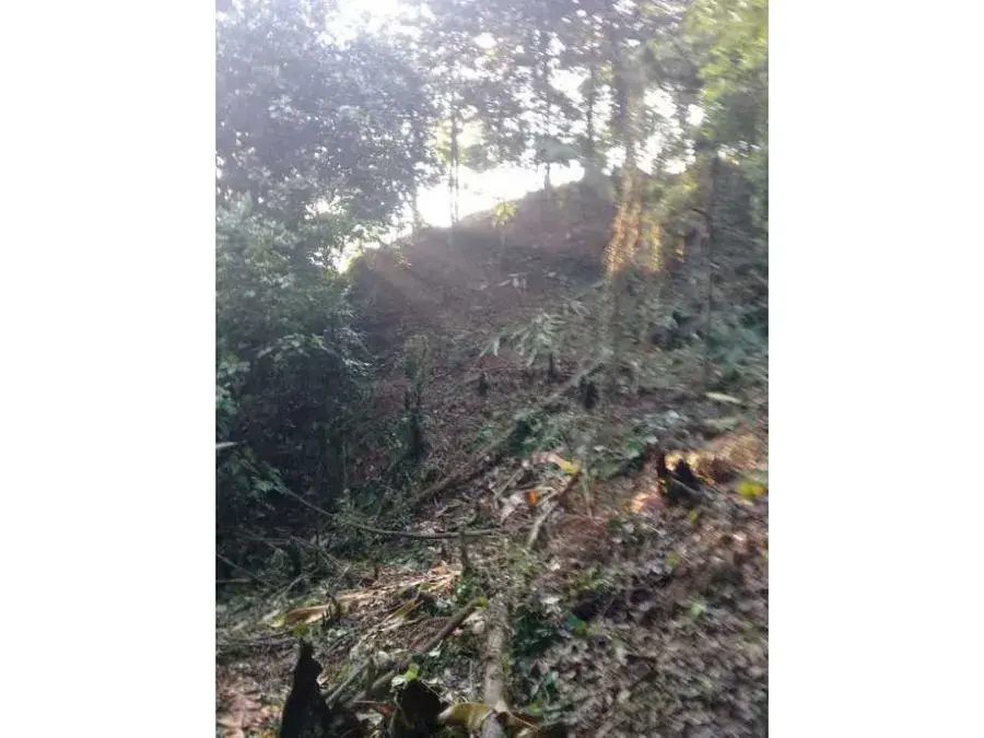 Nature Oasis in Quepos. - 1