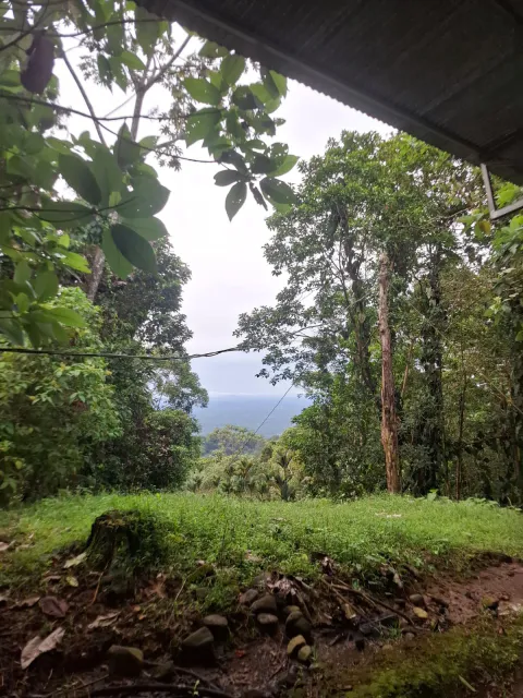 Finca de Selva Tropical en Costa Rica | Retiro Ecológico y Propiedad de Aventura de 78.7 Ha