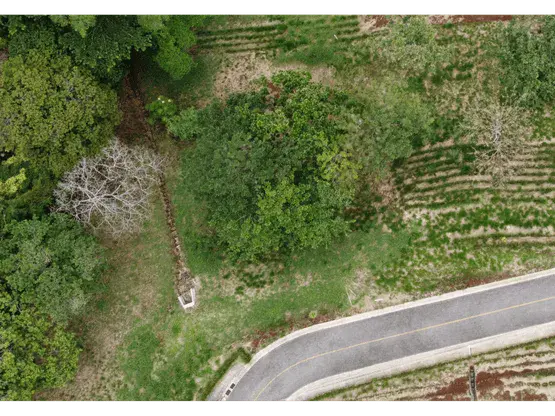 Lot in Hacienda Natura - 1