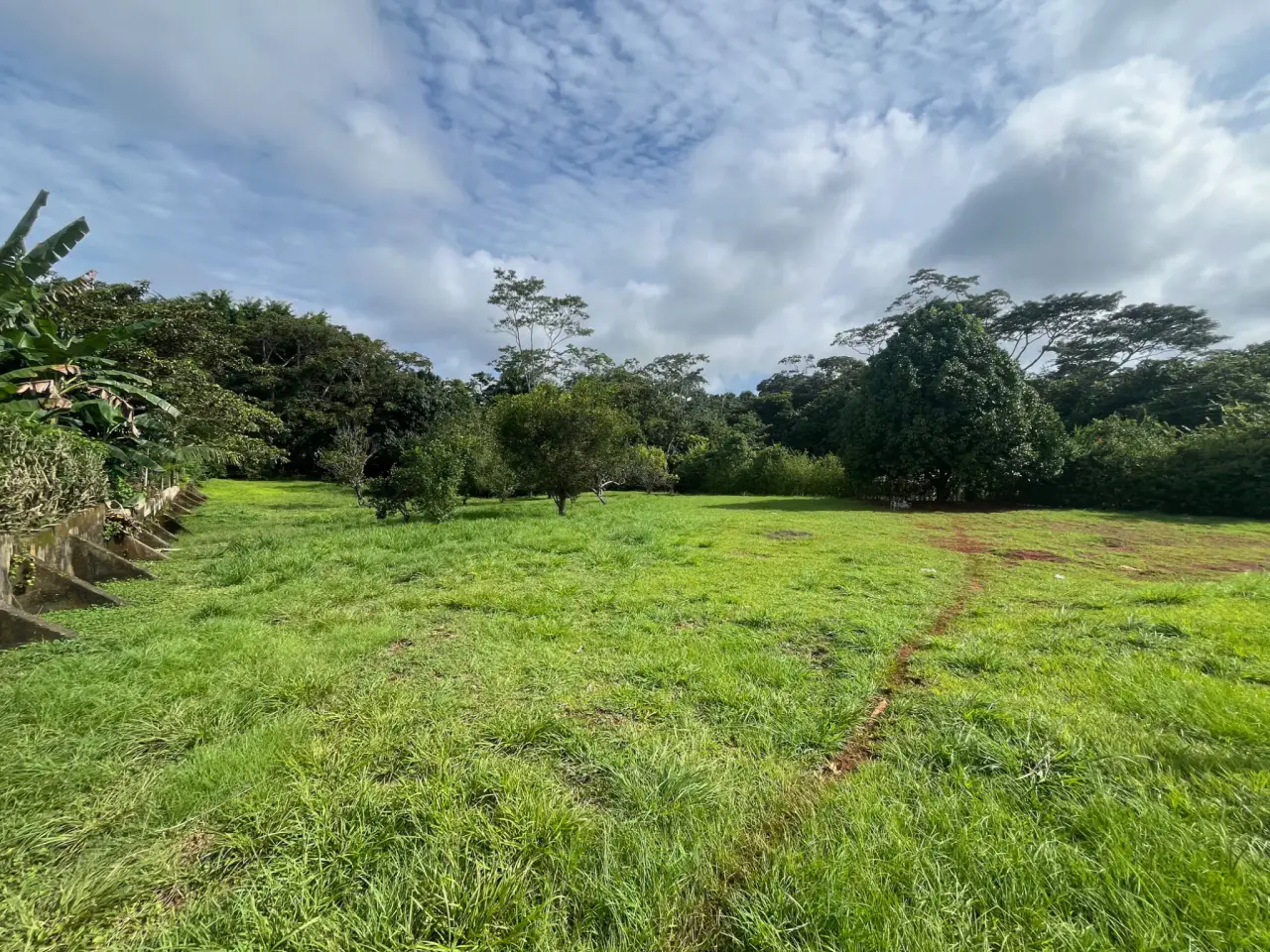 Amplio lote de 2,600 m2 con árboles frutales cerca de Santa Teresa - Listo para construir - 5