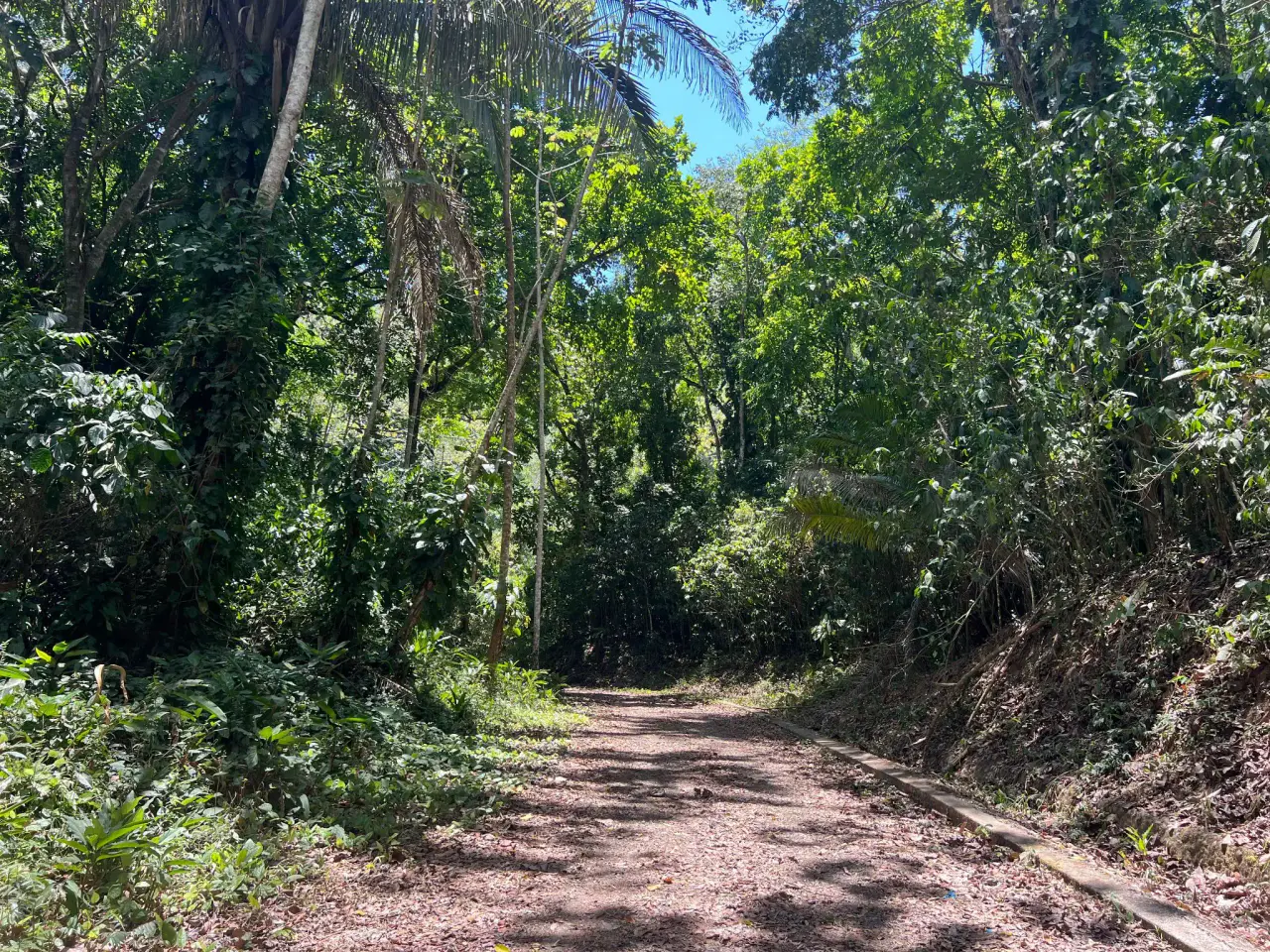 Prime 5028sqm Development Lot in Jacó, Costa Rica – Endless Possibilities Await - 2