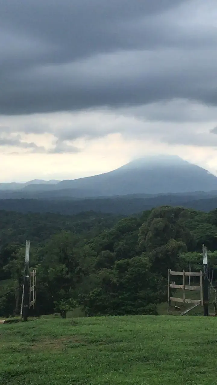 Amplio terreno agrícola y ganadero de 83 hectáreas en Sarapiquí, Heredia - 5