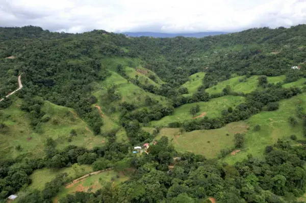 FINCA PARAÍSO NATURAL DE 203 ACRES EN BARU, PÉREZ ZELEDÓN - 2