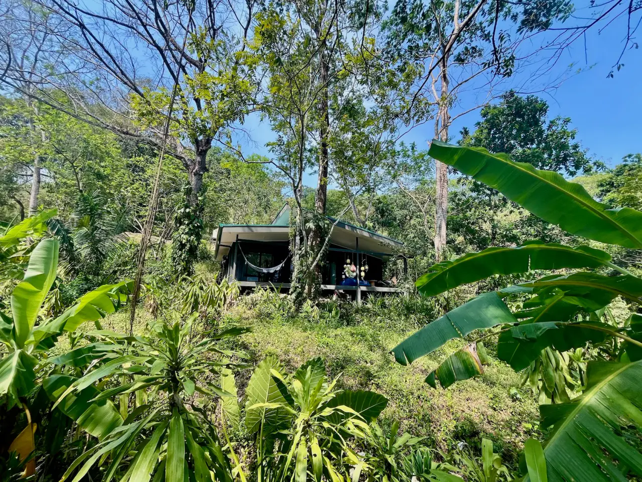 3 Homes in Santa Teresa, Costa Rica 8,000m² minutes to Playa Carmen and Income Producing Property - 2