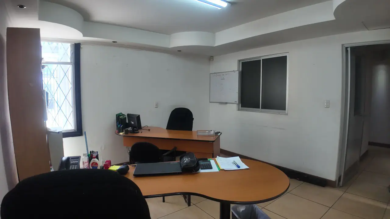 Alquiler comercial Sabana Sur - 4