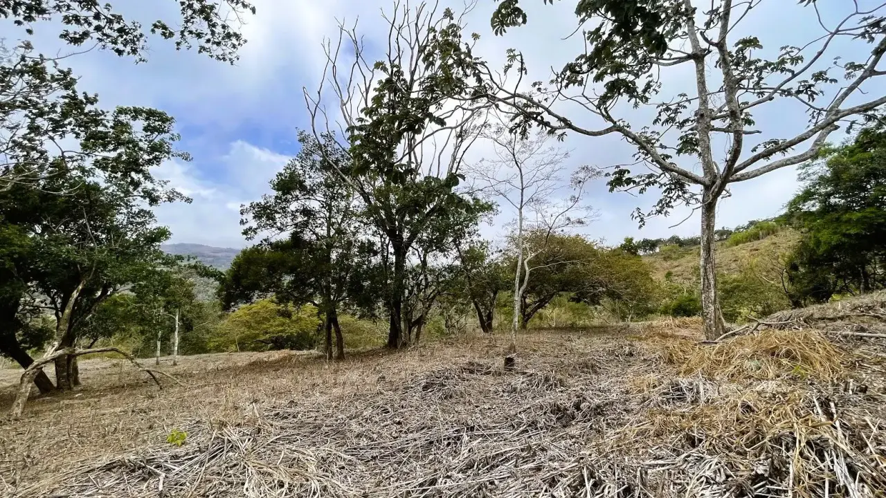 LOT FOR SALE IN SAN PEDRO, SAN RAMON - 3