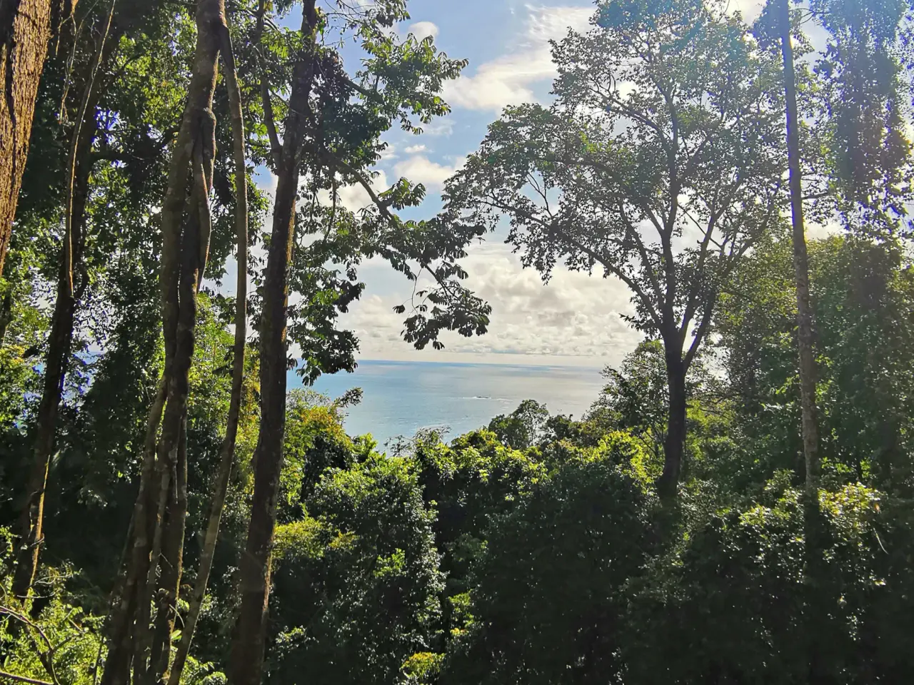 MAJESTIC VIEW HOUSE IN DOMINICAL, COSTA RICA - 1