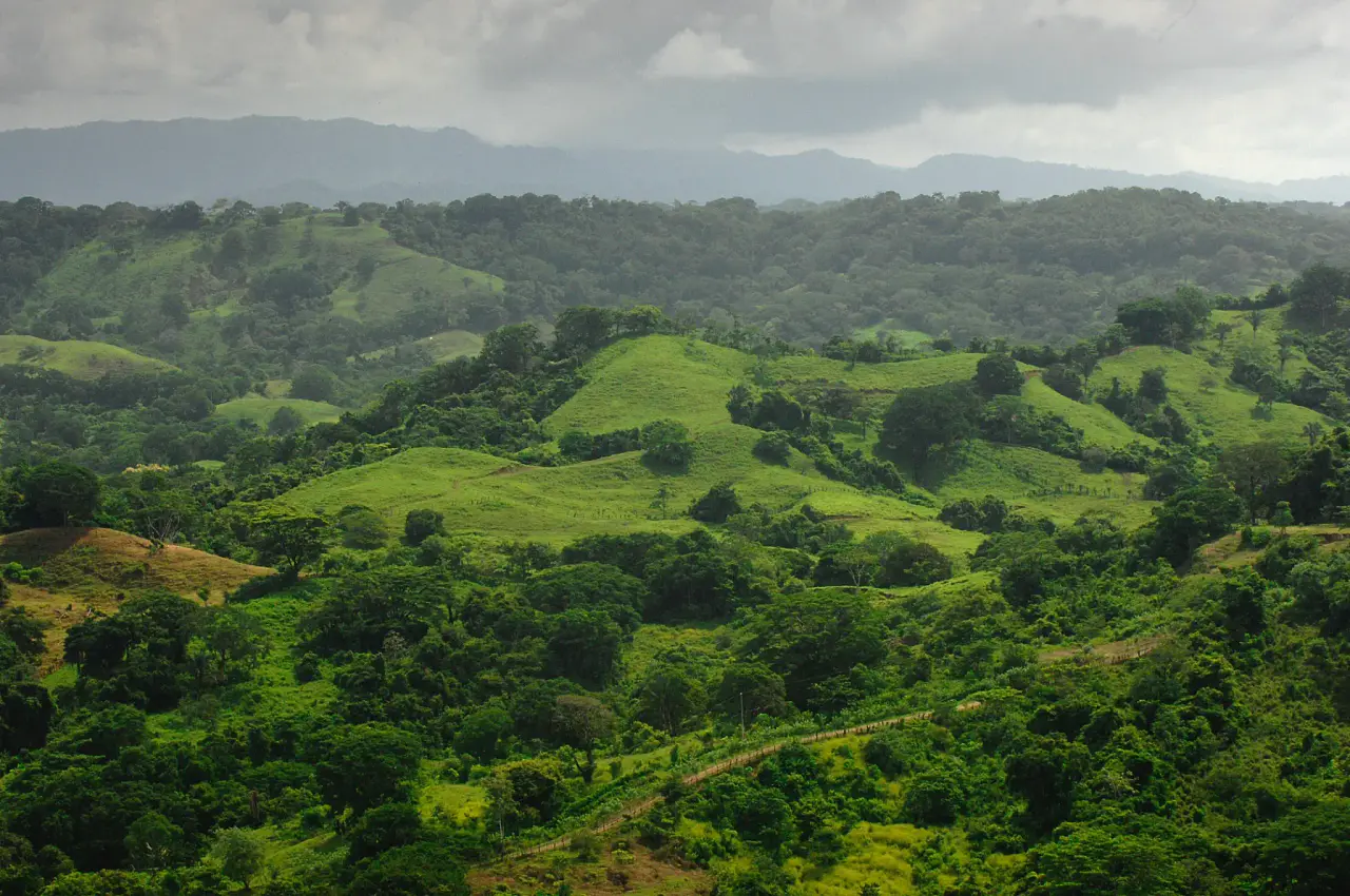 Casi 90 hectáreas de belleza selvática intacta con impresionantes vistas al mar, a pasos de la playa en la Zona Azul de Costa Rica. - 2