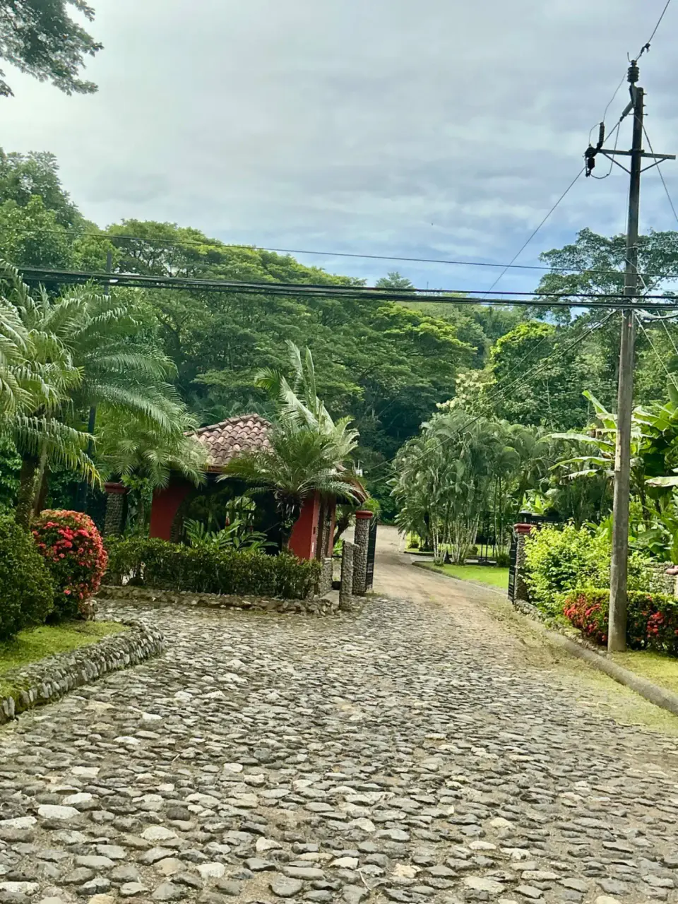 Lot for Sale in Plantation Acres - 1