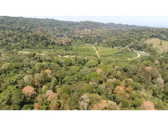 102 hectáreas de Terreno en Nanabri, Limón - 2