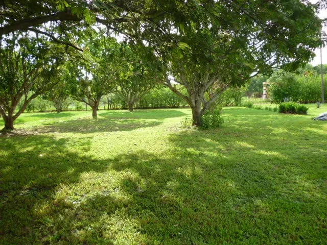 Expansive 11380 sqm Lot in Orotina, Alajuela - Prime Land for Development or Private Estate - main