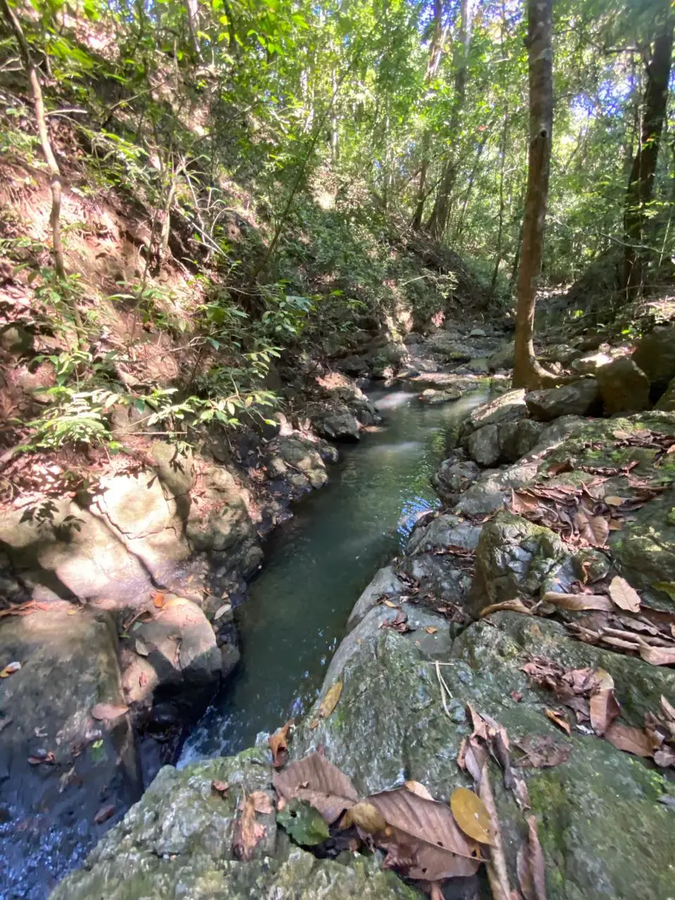 6,179 m² mixed-use land in Delicias, minutes from Montezuma and Santa Teresa - 3