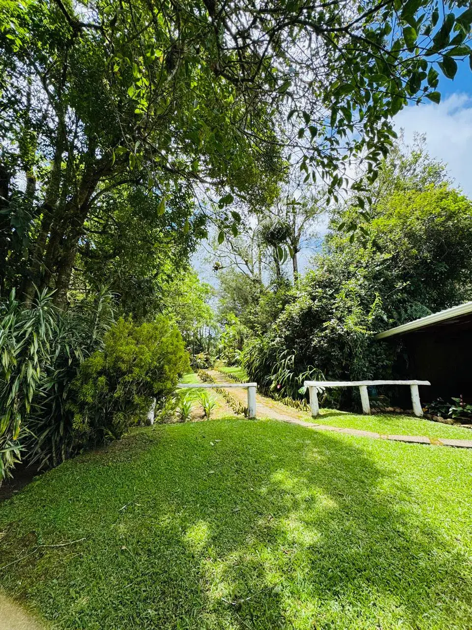 Retiro Campestre Extenso: Naturaleza Exuberante y Encanto Rústico en El Guarco - 3