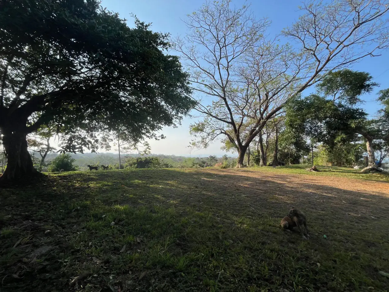 11.000 m² de hermoso terreno con vista al mar – Uso residencial y comercial en Santiago - 3