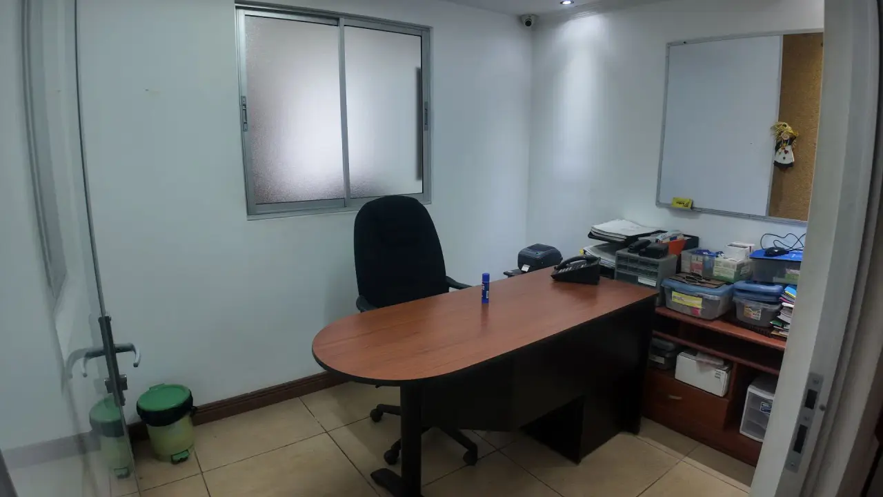 Alquiler comercial Sabana Sur - 3