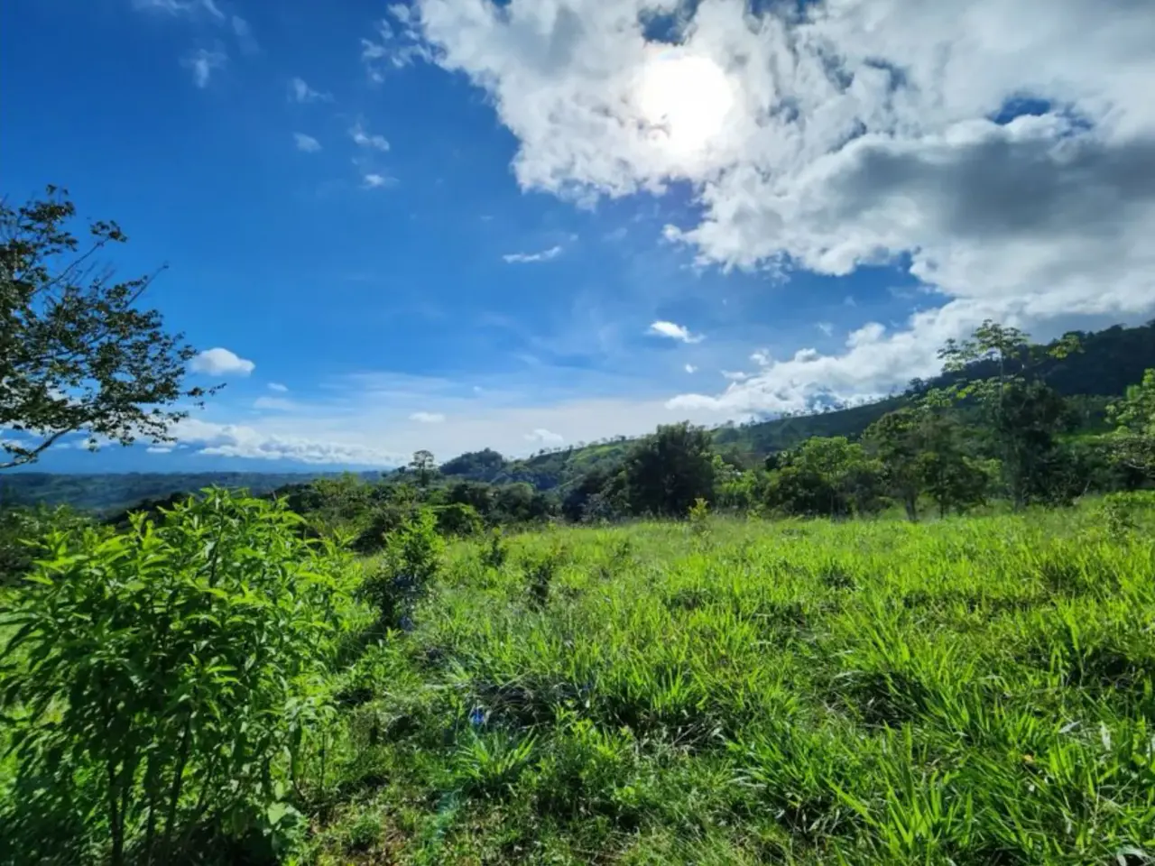 FINCA Y CASA CON VISTA A LA MONTAÑA EN PACUARITO, PÉREZ ZELEDÓN - 3