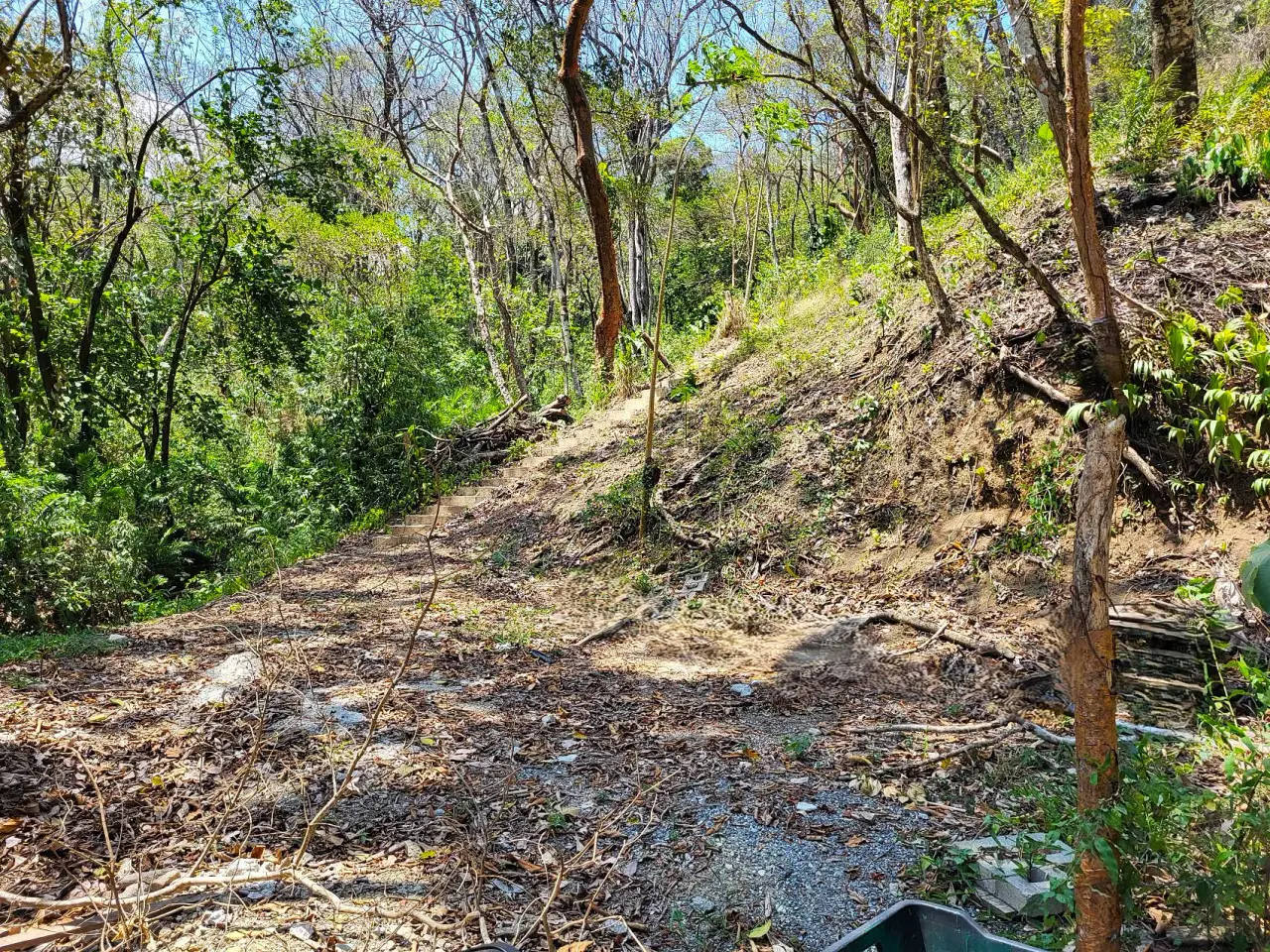 Lote de ensueño tropical de primera calidad en venta - 5