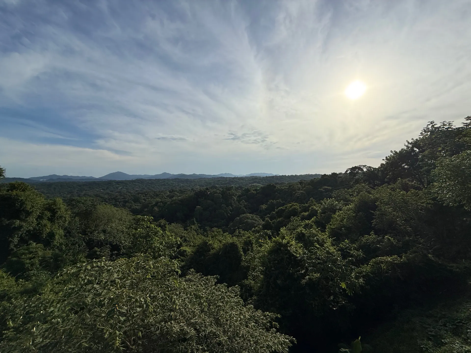 Contemporary 4-Bedroom Santiago Villa with Private Infinity Pool & Lush Jungle Views - main