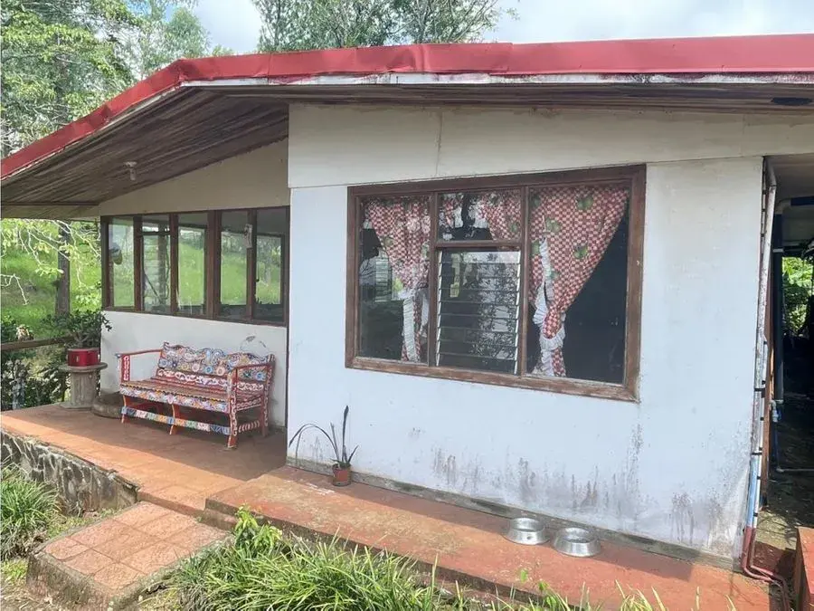 Venta Finca Puriscal - 3