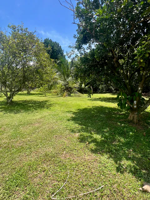 Terrain de 5 027 m² à Los Ángeles de Parrita | 131 mètres de façade et grand potentiel