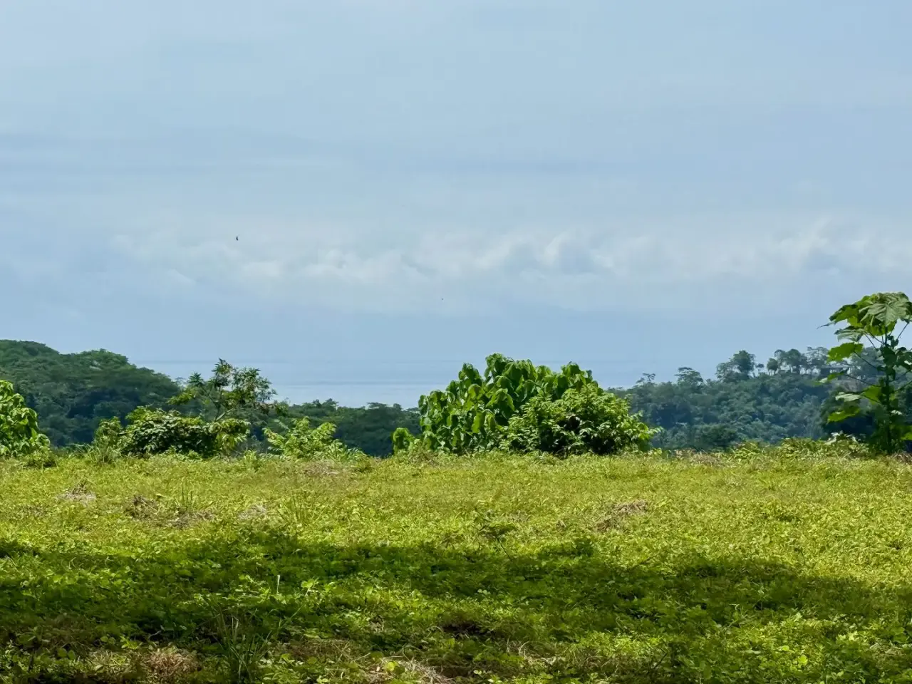Ocean & Mountain View Property Near Santa Teresa with Impressive Building Platform Surrounded by Jungle - 2