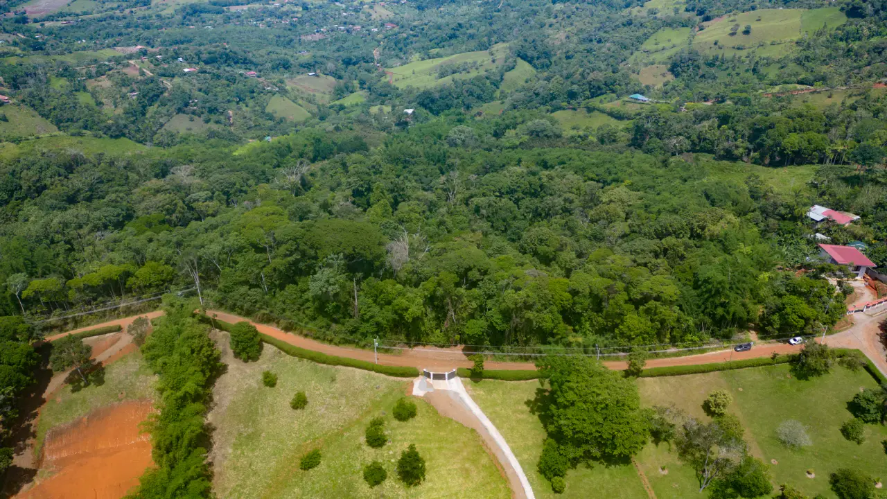 BAMBOO & FOREST PROPERTY IN PEREZ ZELEDON, COSTA RICA - 1