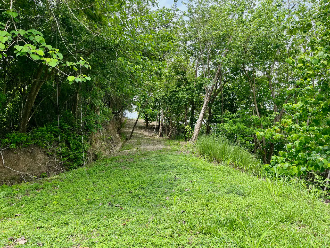 Stunning Ocean & Mountian View Land in Tambor  in a Gated Community and Minutes from the Ocean  - 2