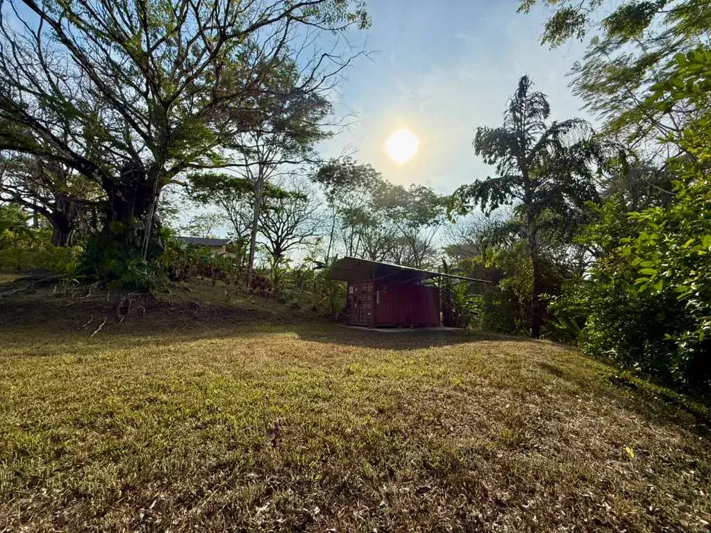 Jungle Lot 1,494 m² in Delicias — Container Storage & Home Potential | 15 Min to Playa Carmen - 1