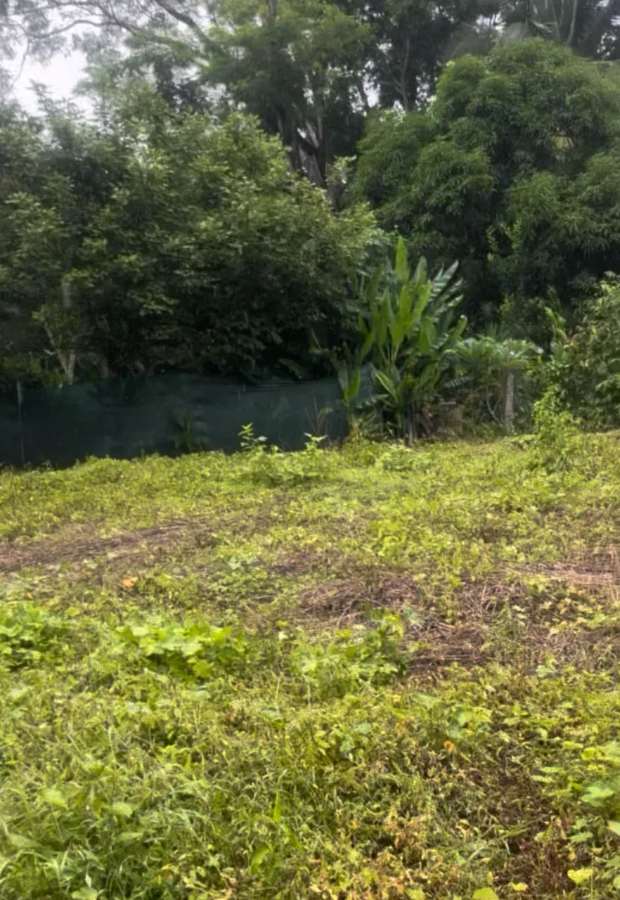 345 m² LOT FOR SALE IN MANZANILLO – NEAR SANTA TERESA & PLAYA HERMOSA and Minutes to the beach  - main