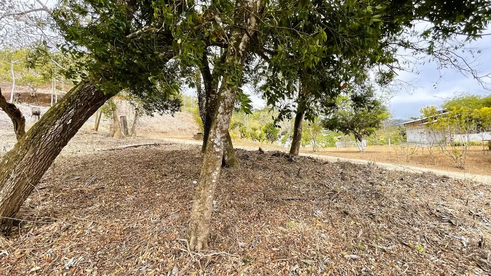 LOT FOR SALE IN SAN PEDRO, SAN RAMON - main