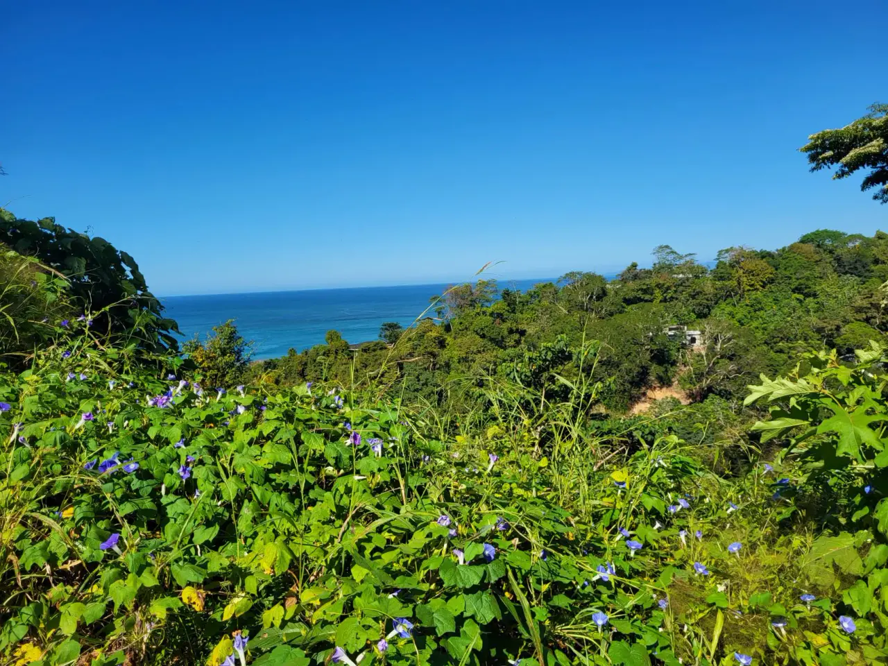 Beautiful 1.8 (18,000 m2) Hectare Mountainside Ocean View Lot in Mal Pais - 3