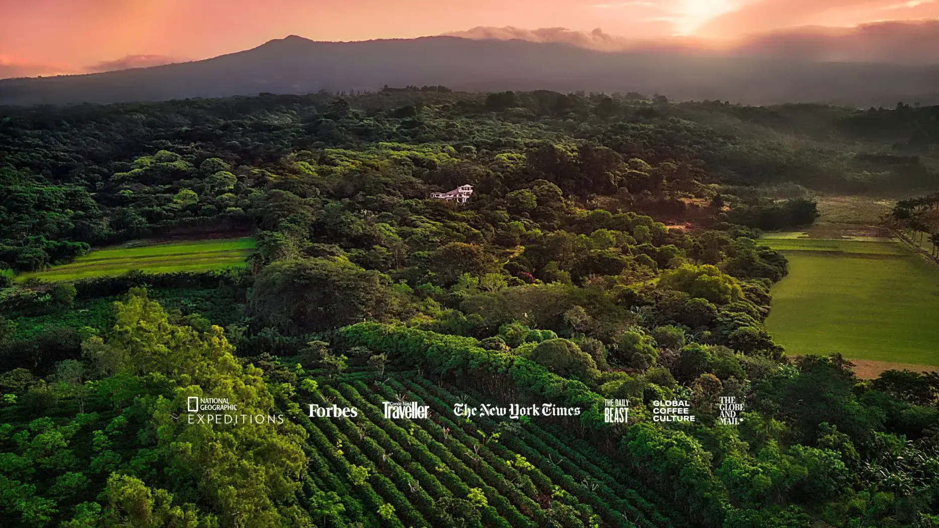 Costa Rica’s Premier Eco-Luxury Organic Coffee Estate & Boutique Hotel - main